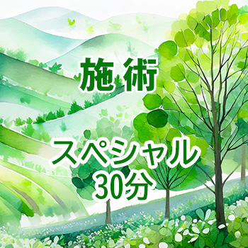 施術　スペシャル30分