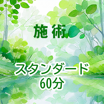 施術　スタンダード60分