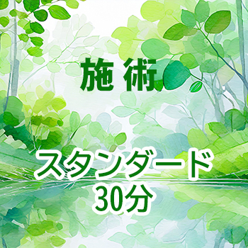 施術　スタンダード30分